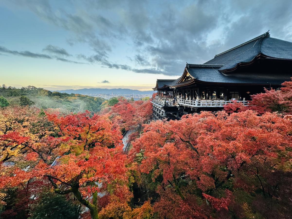 京都｜賞楓行